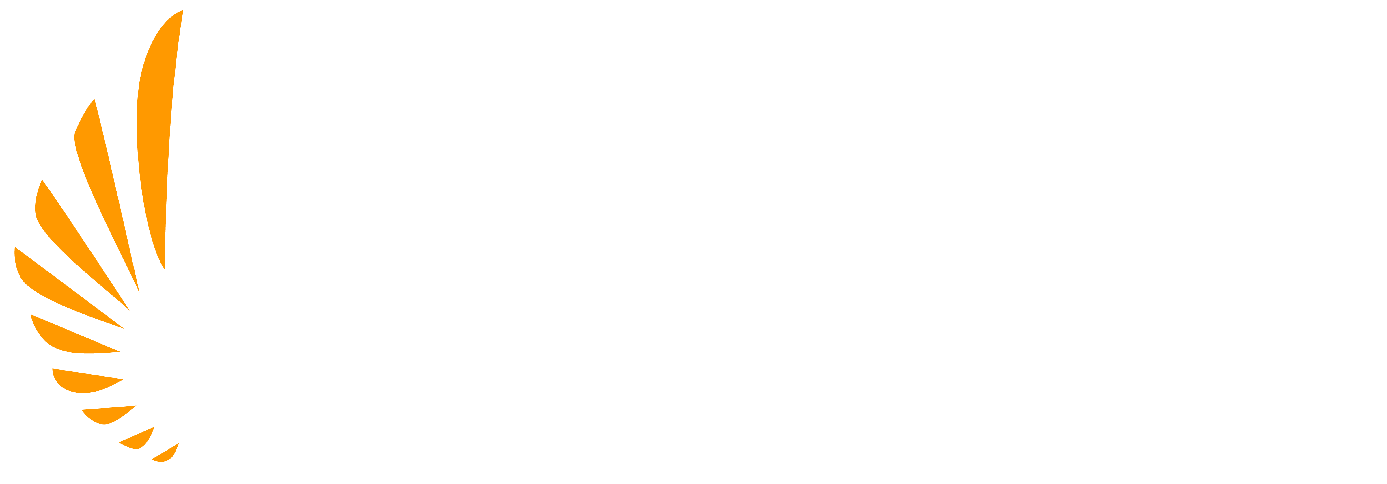 AeroGuard