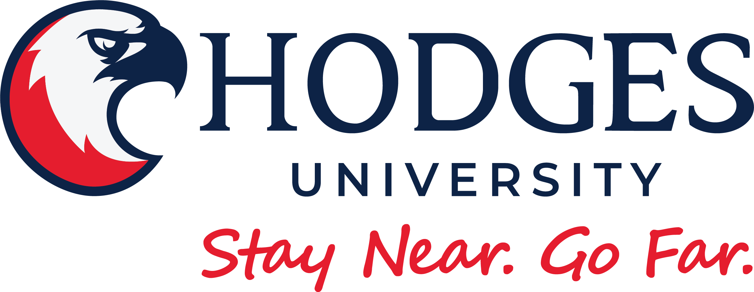 Hodges University Flight Training